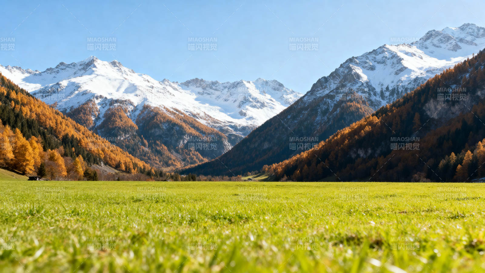雪山秋景如画图片
