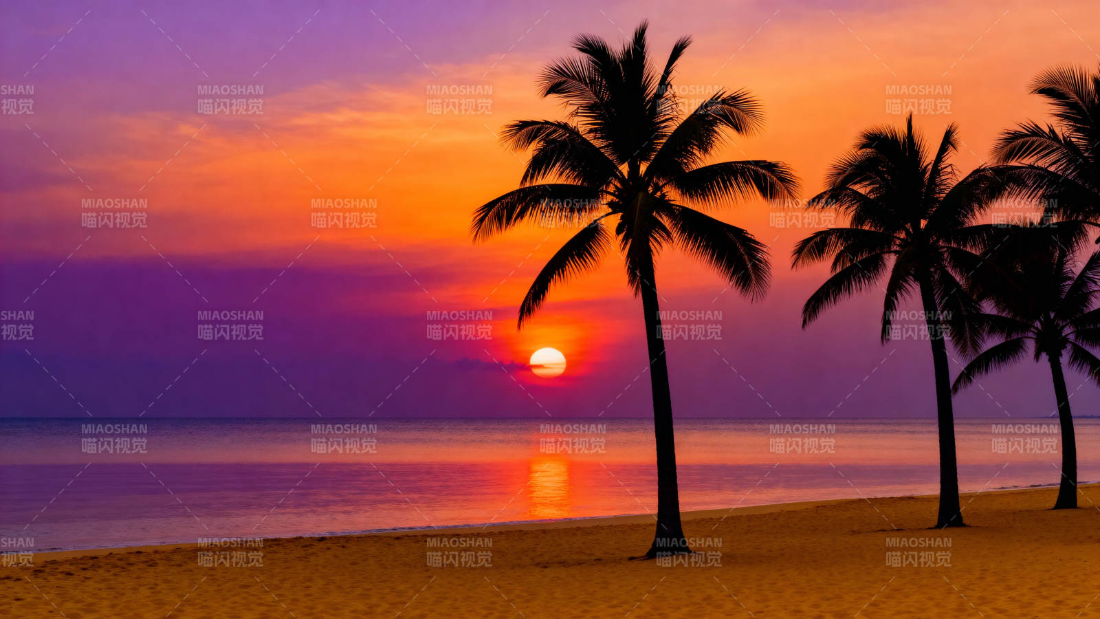 夕阳下的椰林海滩图片