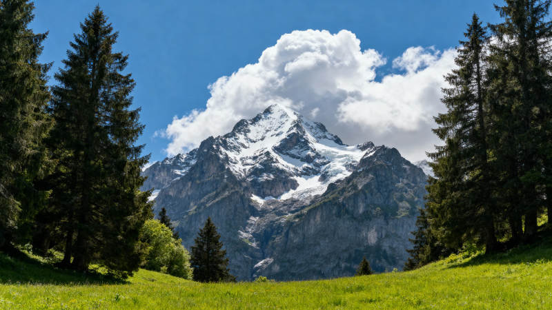 雪山绿野风光图片