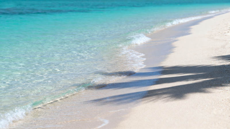 碧海白沙 椰影婆娑图片