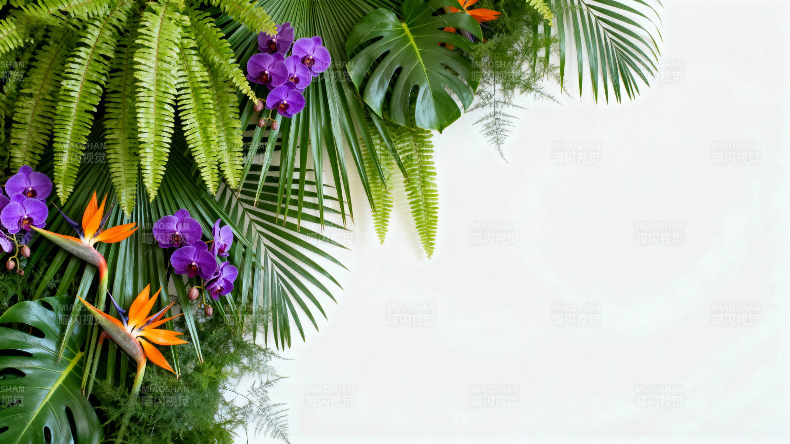 热带花卉装饰图片