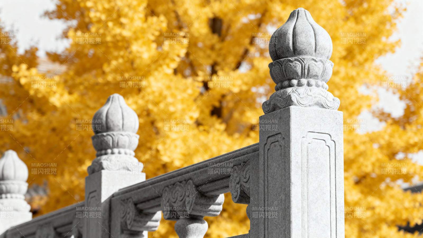 秋色中的石栏杆图片