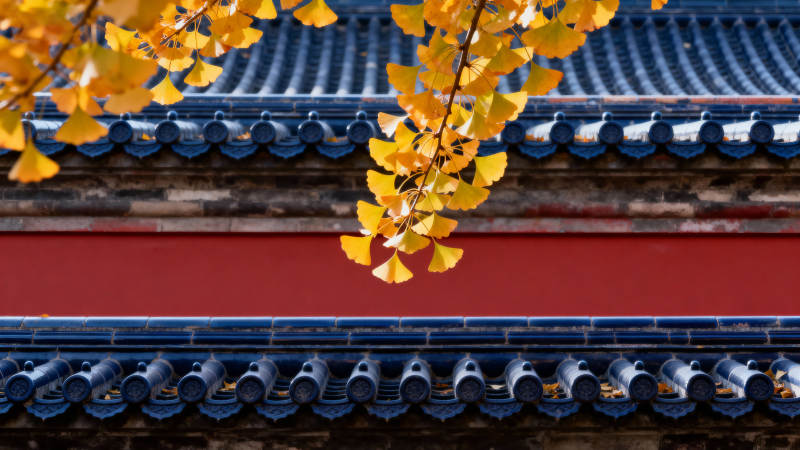 秋叶映古檐图片