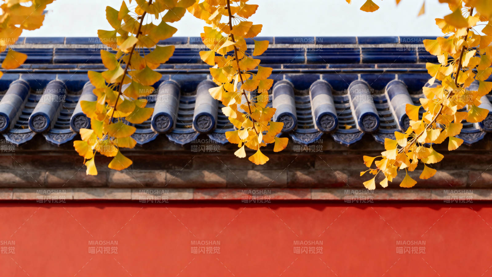 秋叶映古檐图片