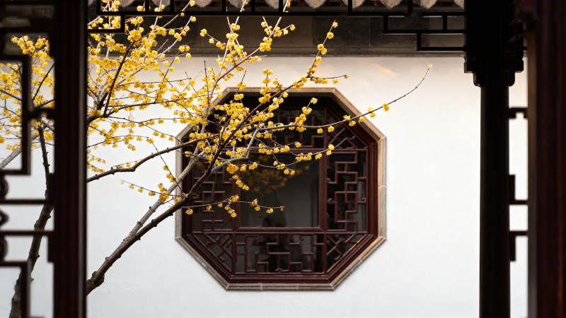 梅影窗前图片