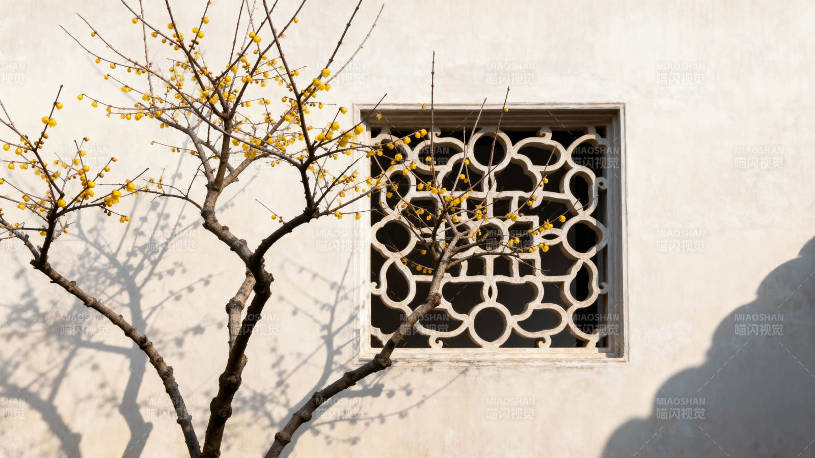 窗影梅枝图片