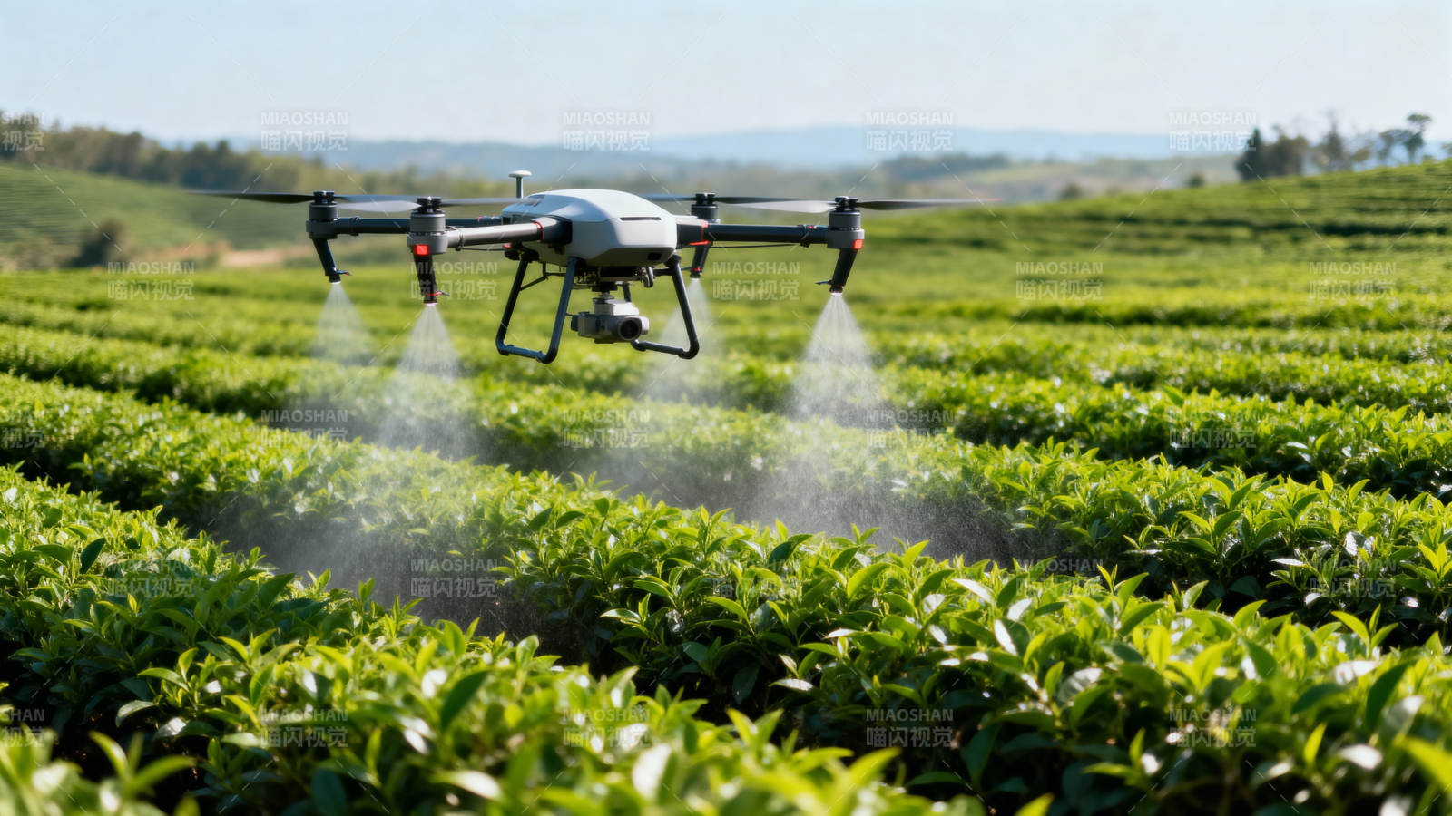 无人机喷洒茶园图片