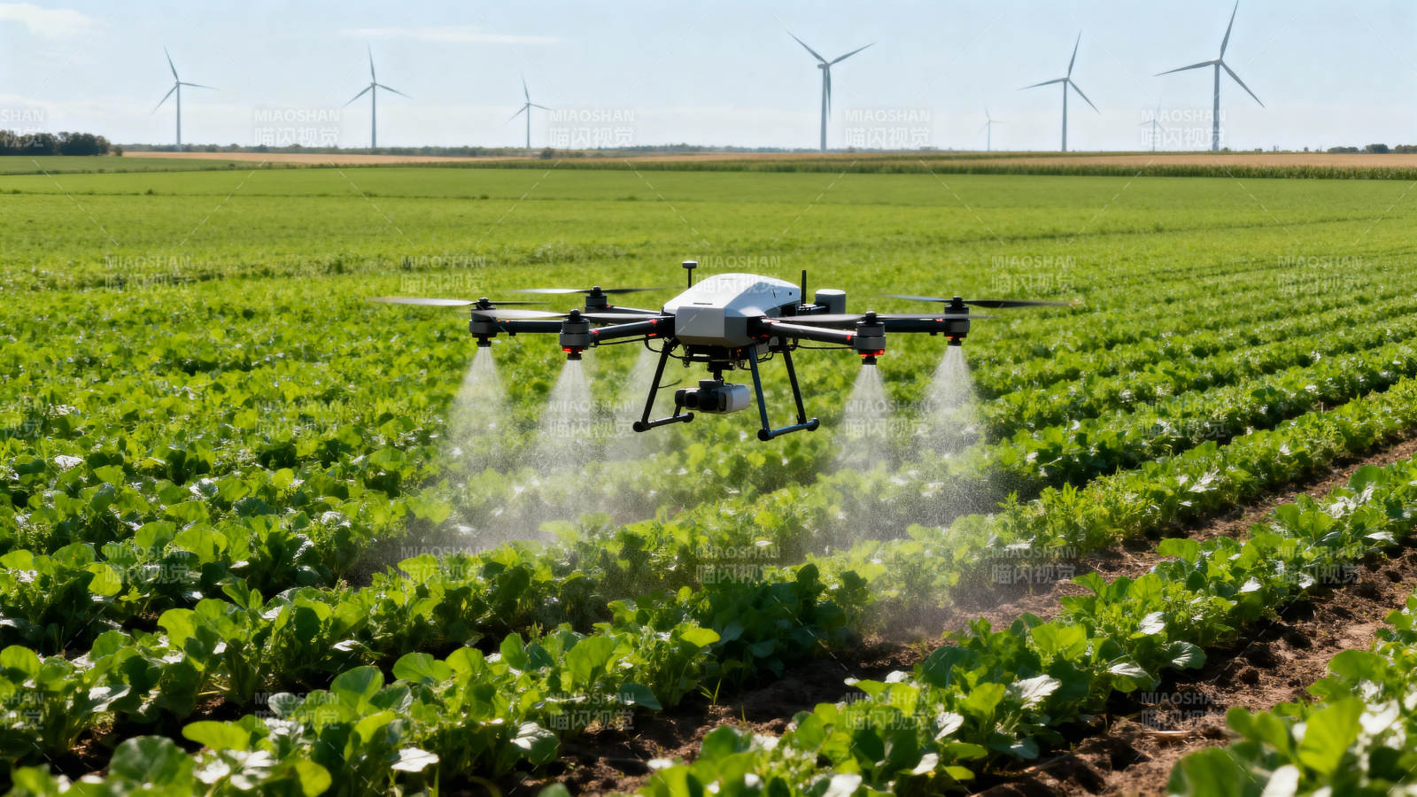无人机农田喷洒图片