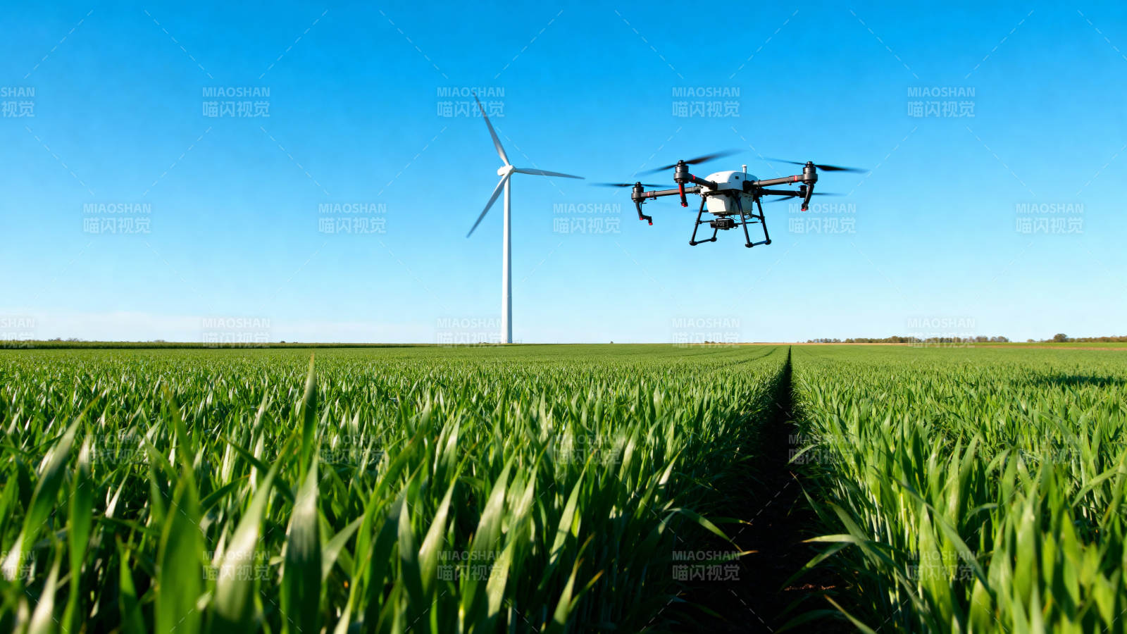 无人机巡田 风车相伴图片