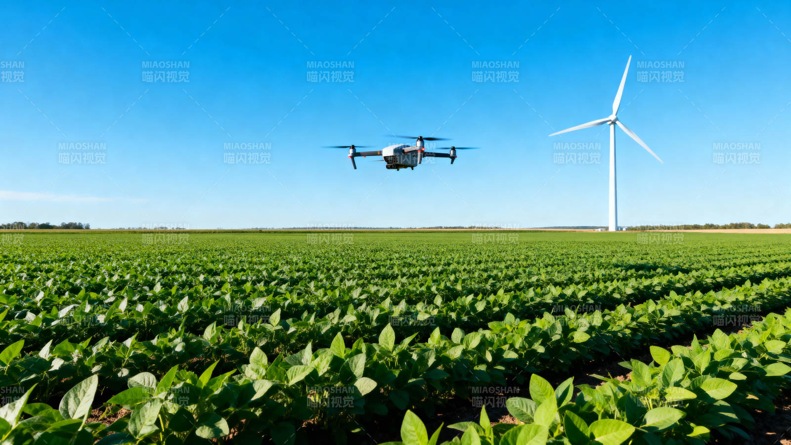 无人机巡田 风车相伴图片
