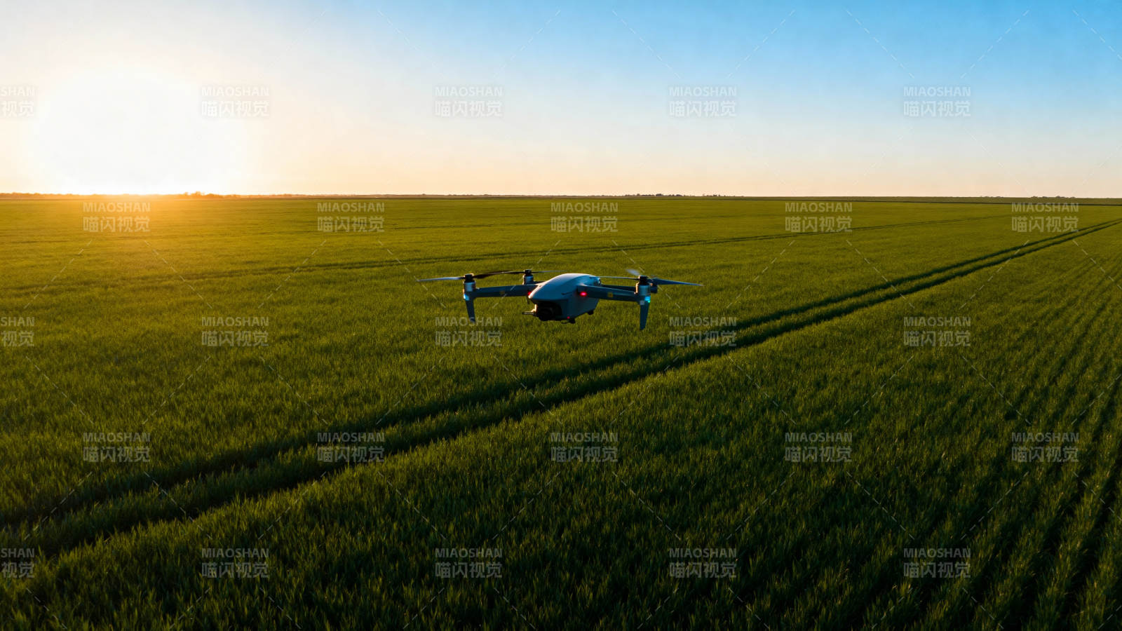 无人机飞越麦田图片