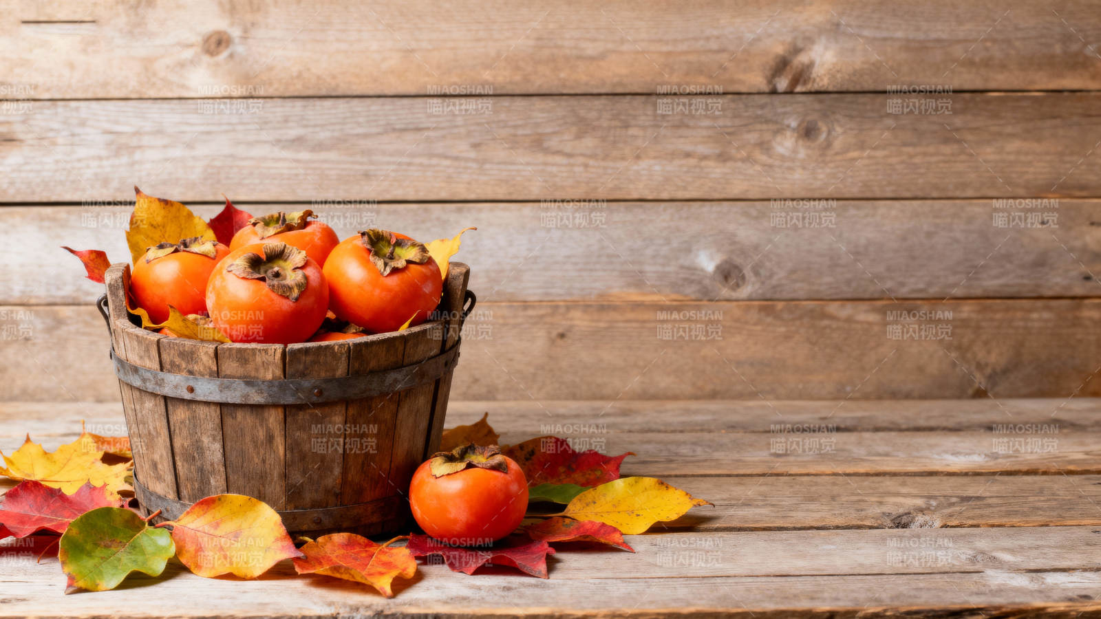 秋日柿子静物图片