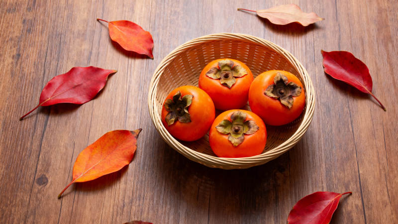 秋叶伴柿 暖意融融图片