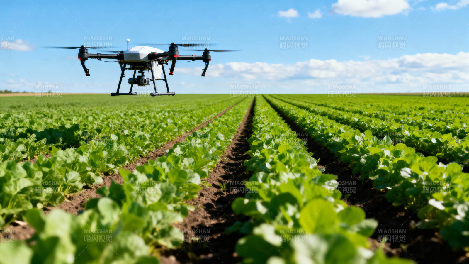 无人机农田作业图片