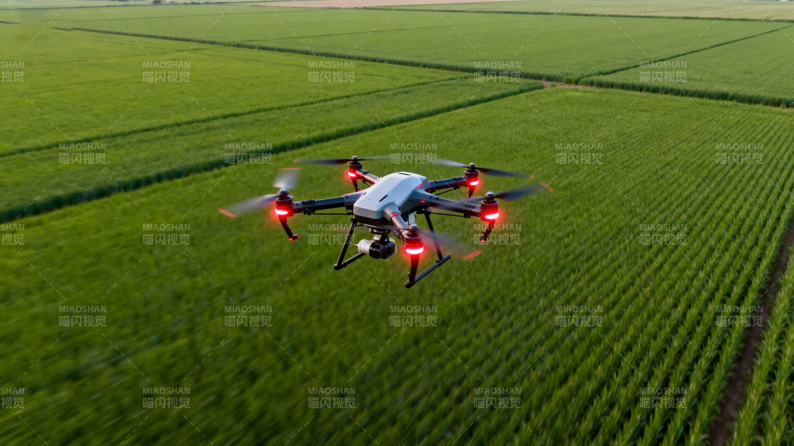 无人机飞越绿野图片