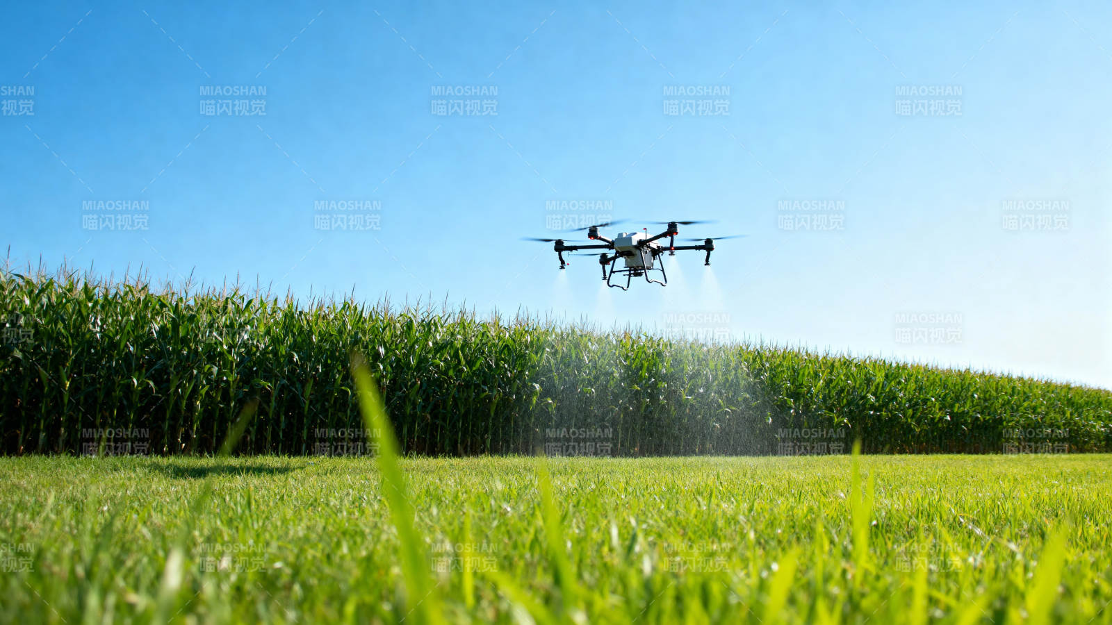 无人机喷洒农田图片
