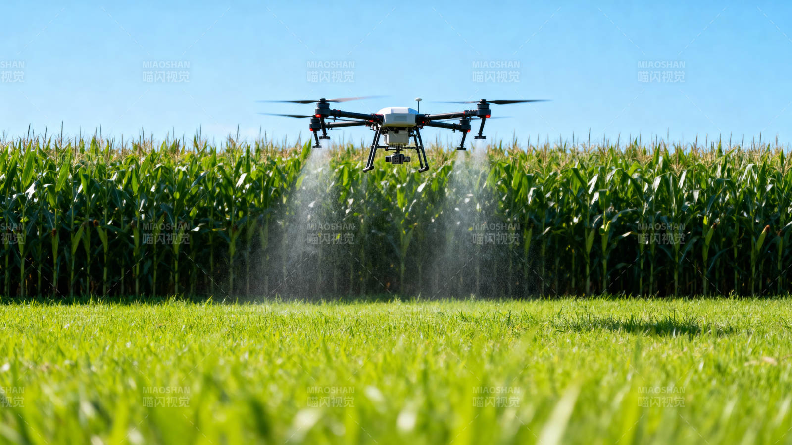 无人机喷洒农田图片