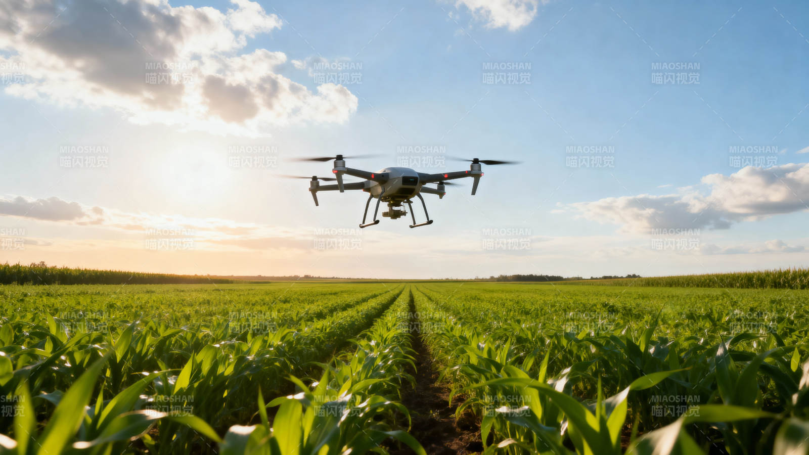 无人机巡田图片