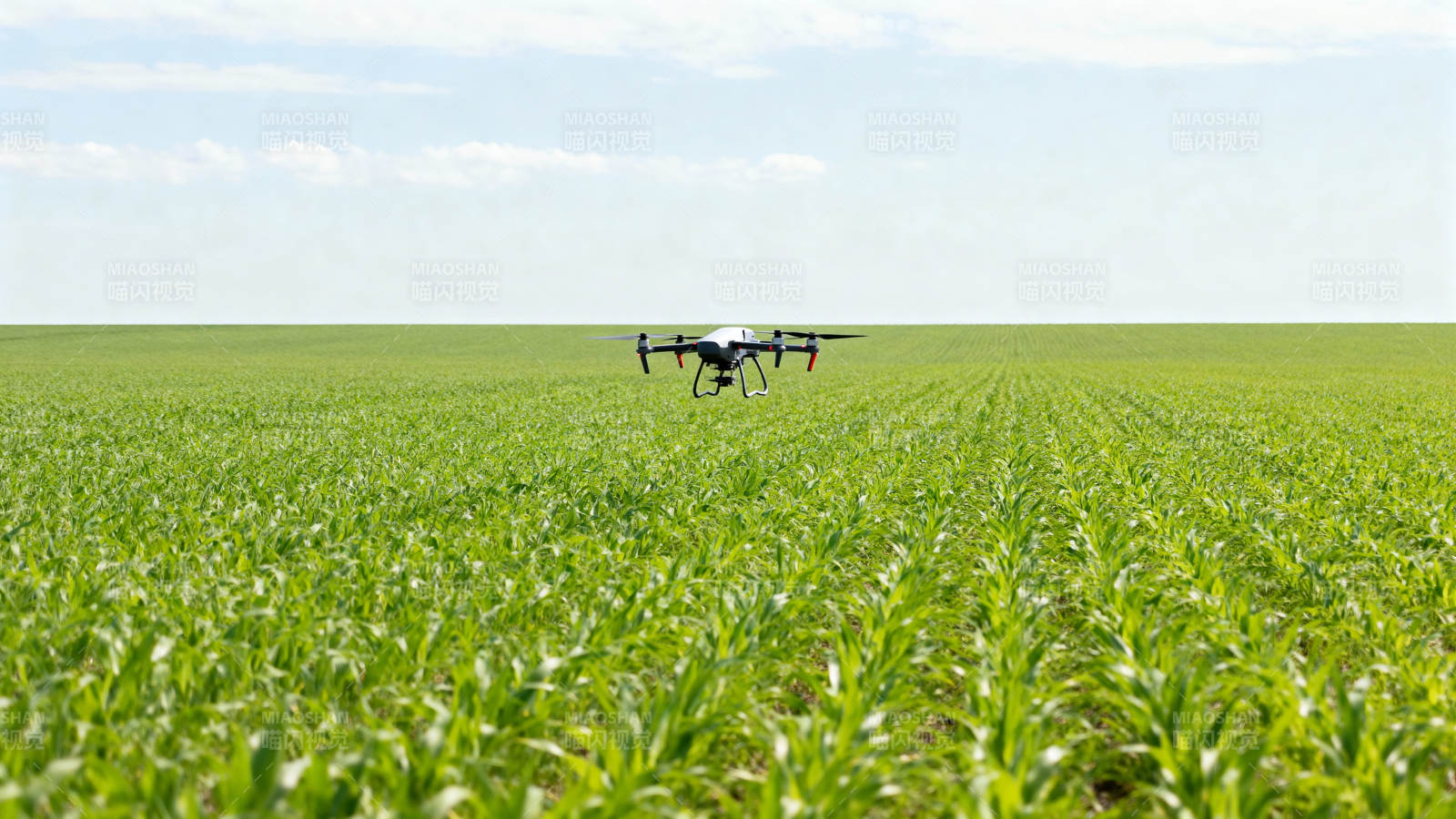 无人机巡田图片