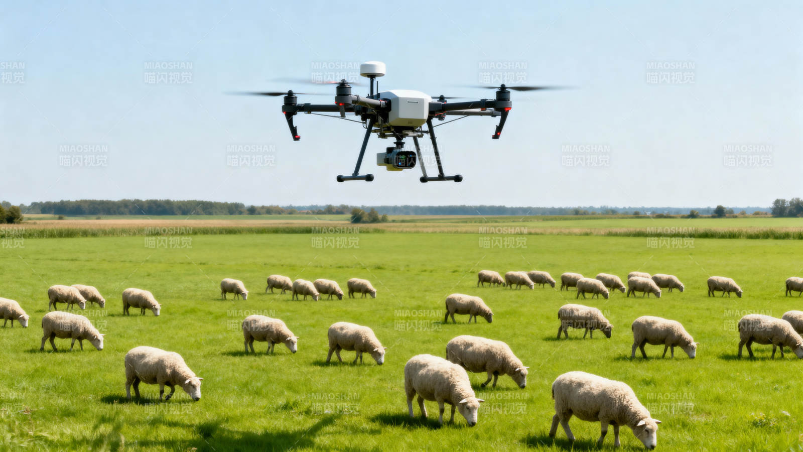 无人机牧羊图片
