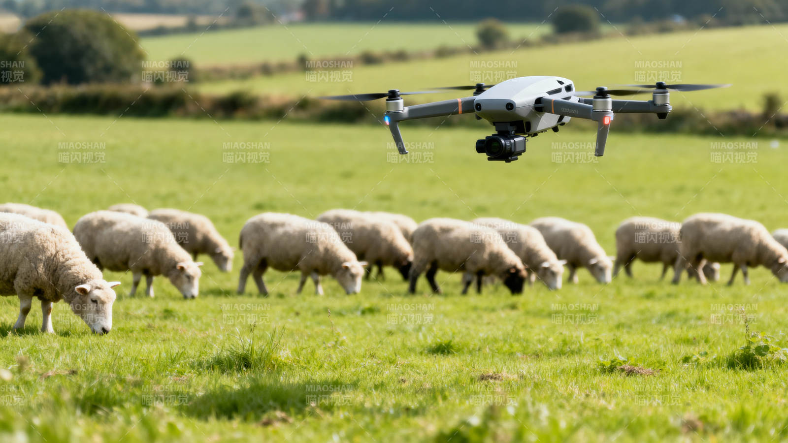 无人机牧羊场景图片