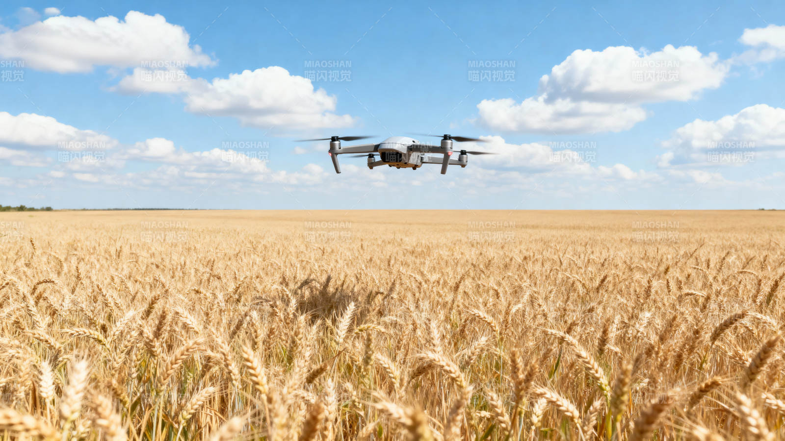 无人机飞越麦田图片