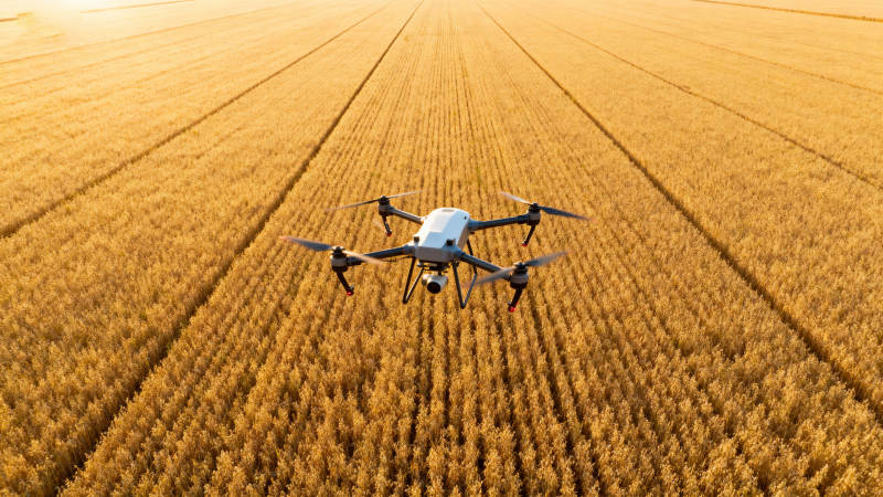 无人机飞越金田图片