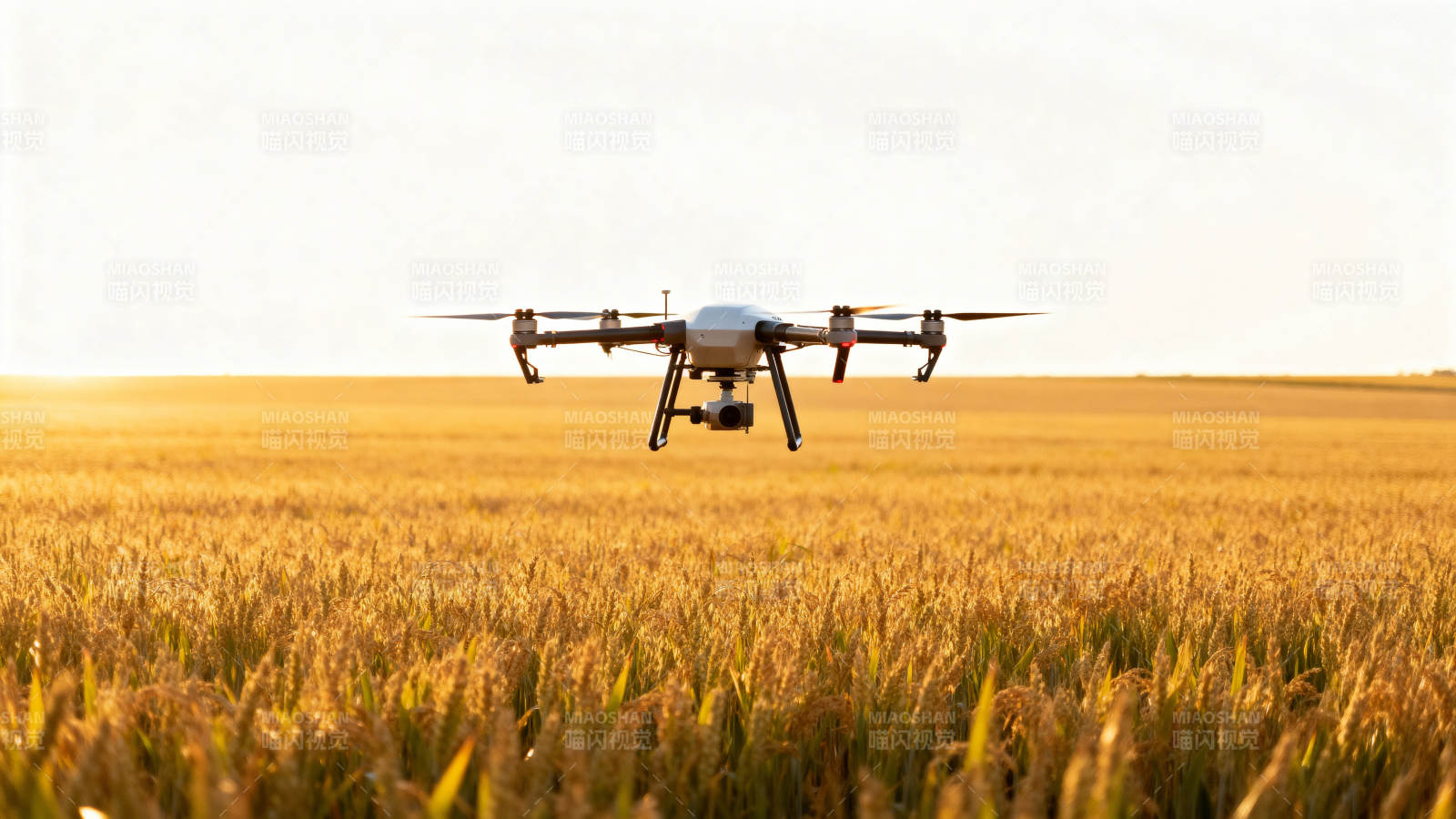 无人机飞越金田图片