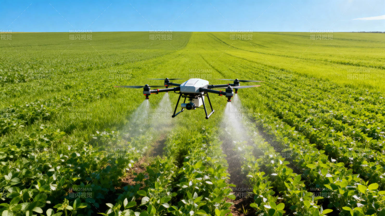 无人机喷洒农田图片