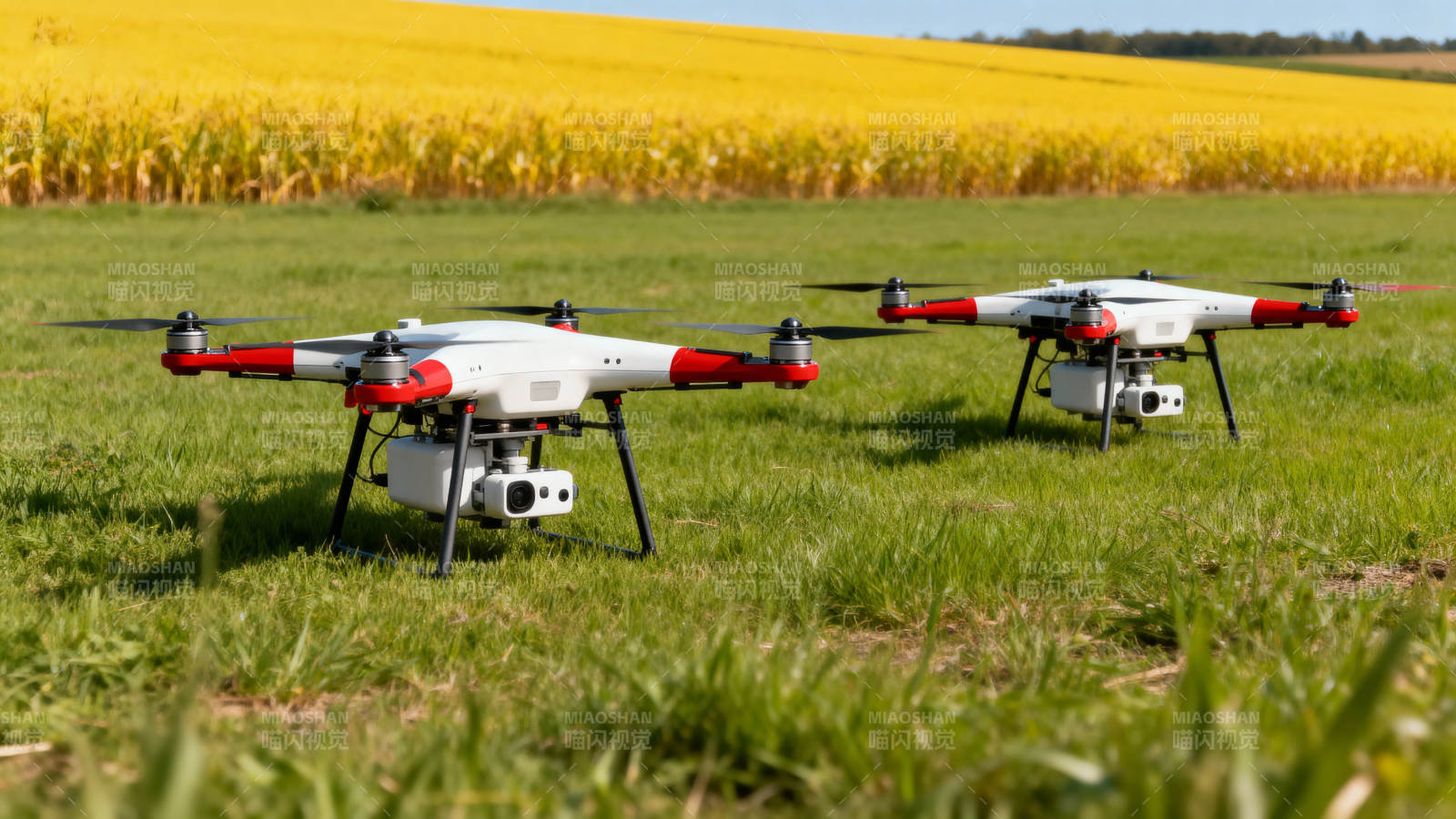 无人机田间作业图片