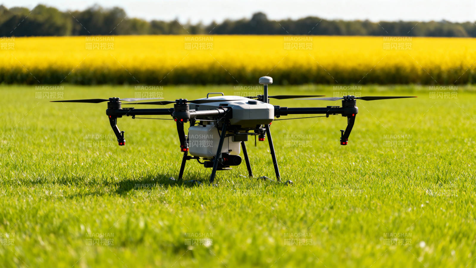无人机田间作业图片