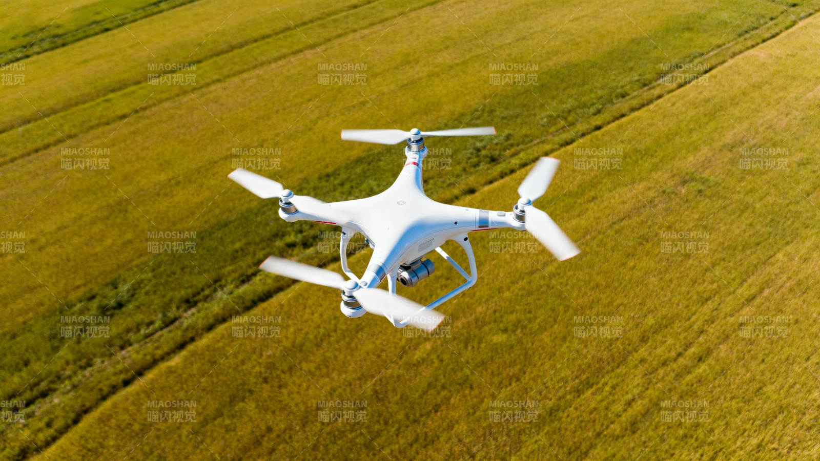 无人机俯瞰田野图片