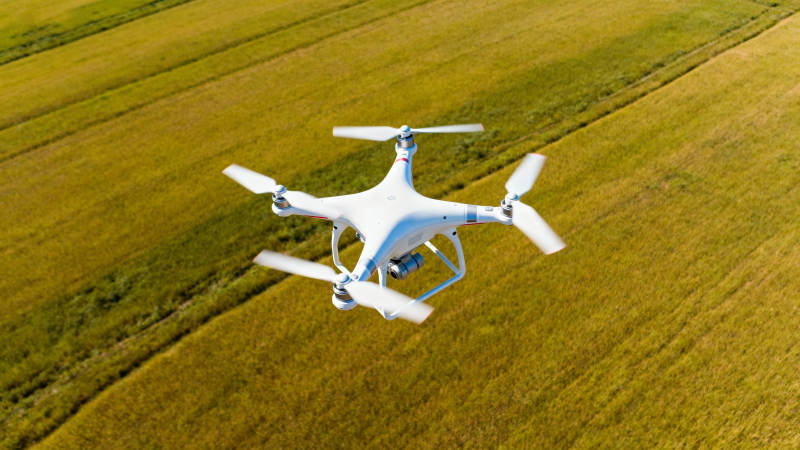 无人机俯瞰田野图片