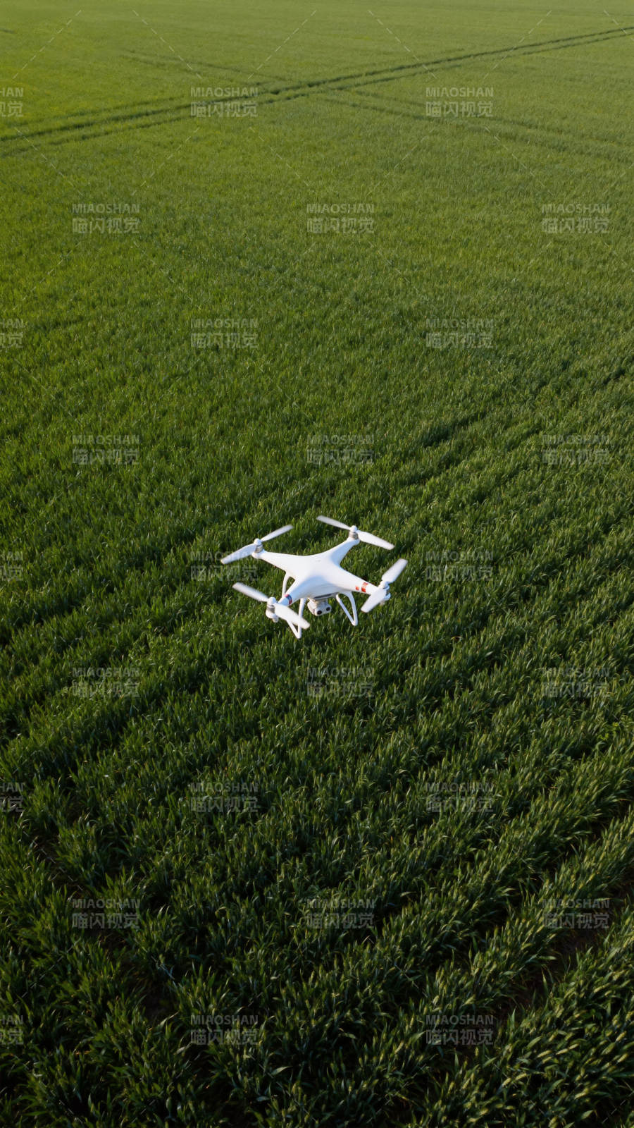 无人机俯瞰绿野图片