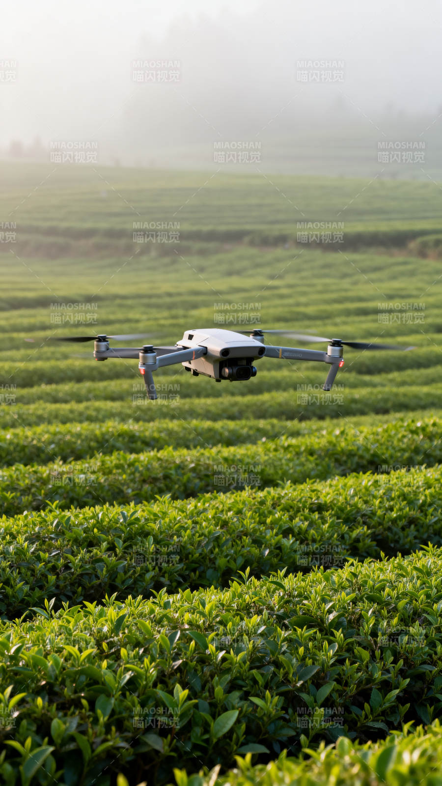 无人机巡茶园图片