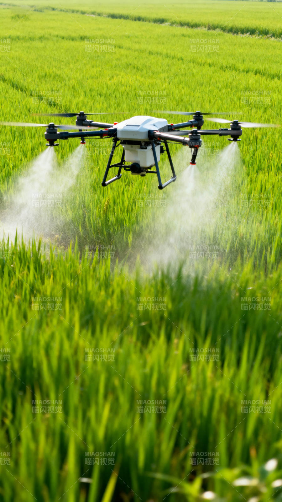 无人机喷洒农田图片