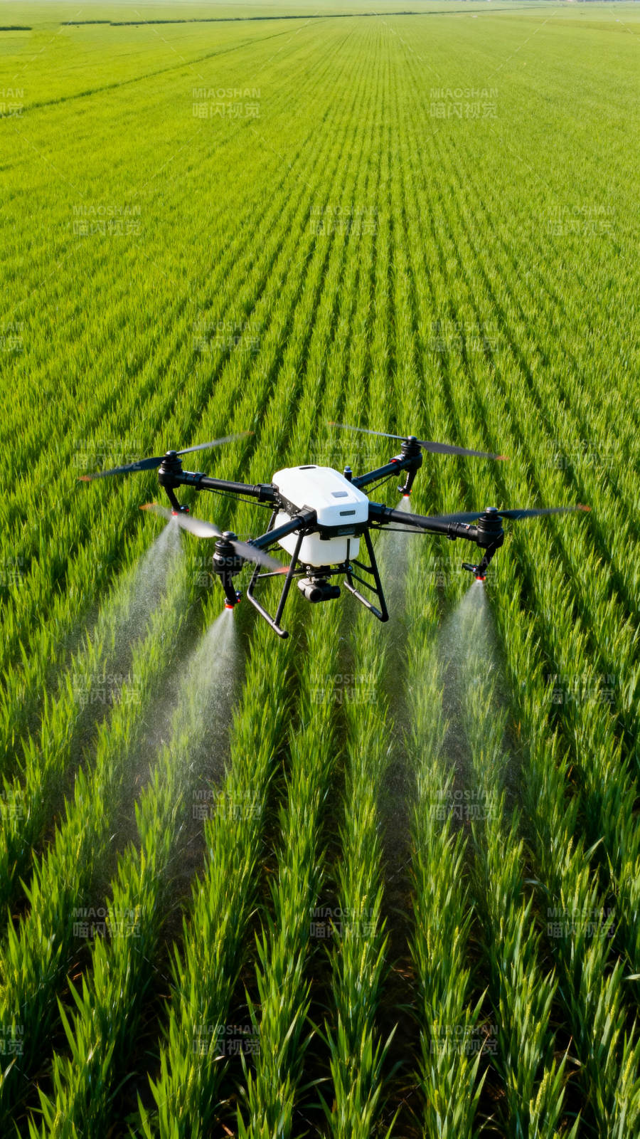 无人机喷洒农田图片