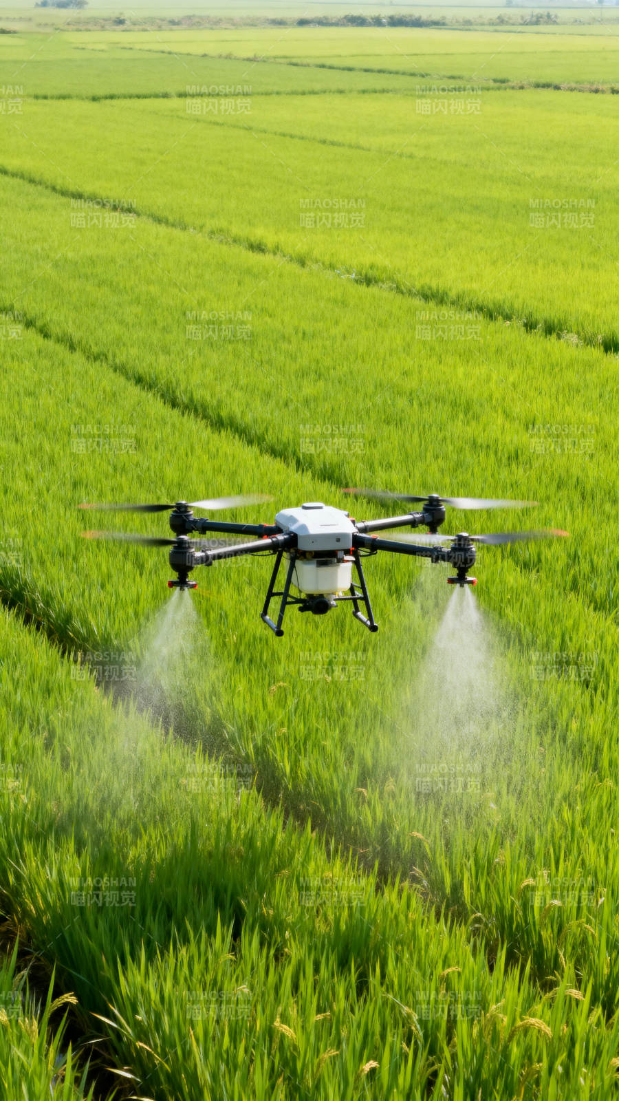 无人机喷洒农田图片