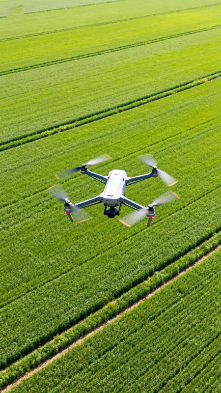无人机巡田图片