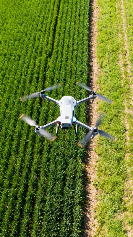 无人机巡田图片