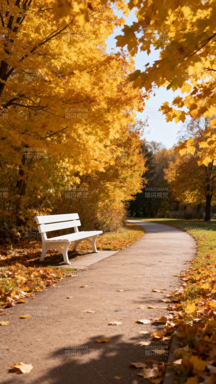 秋日长椅静谧景图片