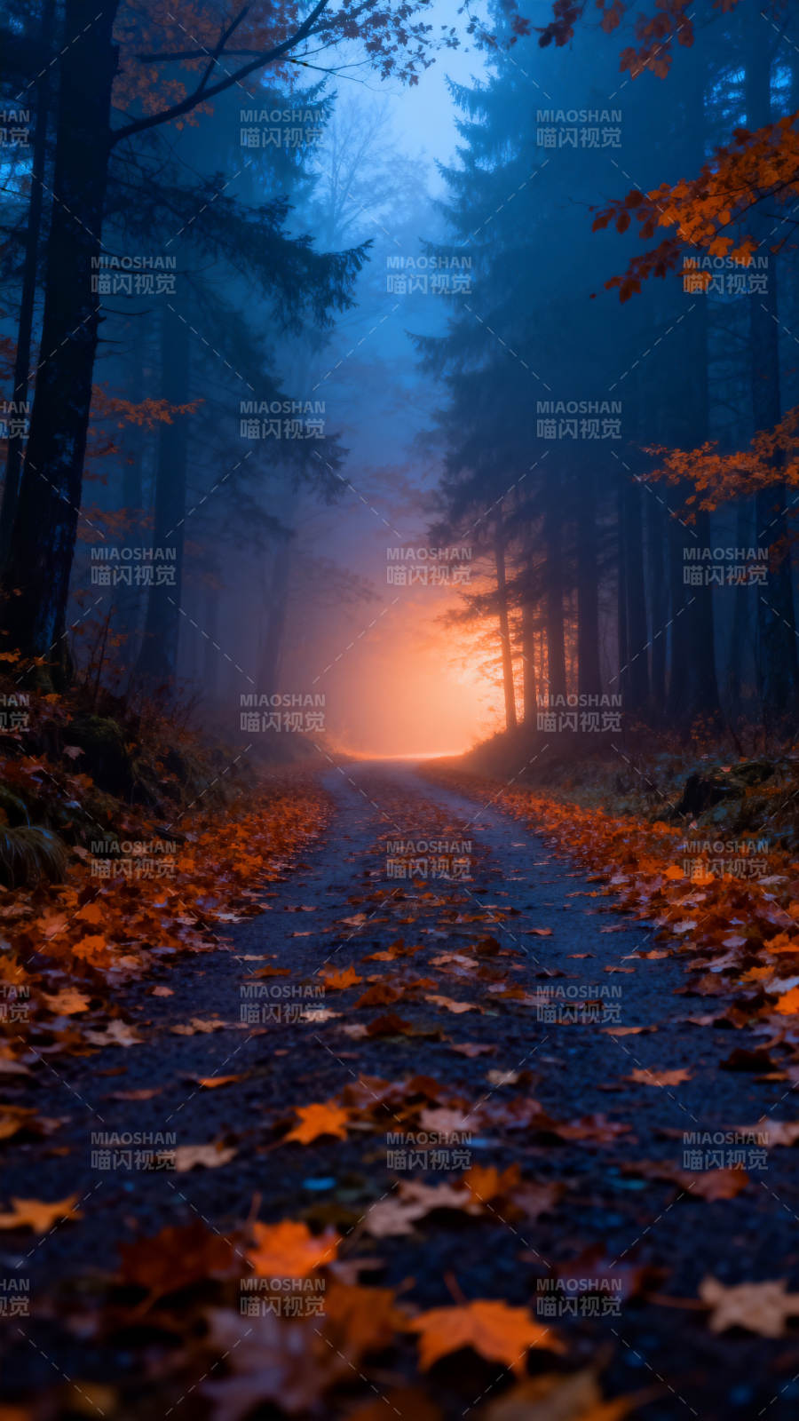 秋雾林径图片