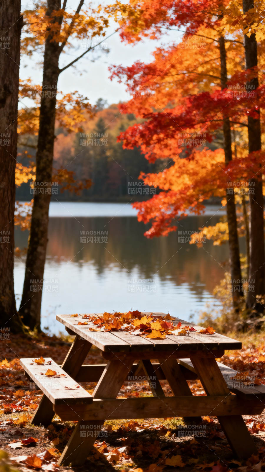 秋湖畔的静谧时光图片