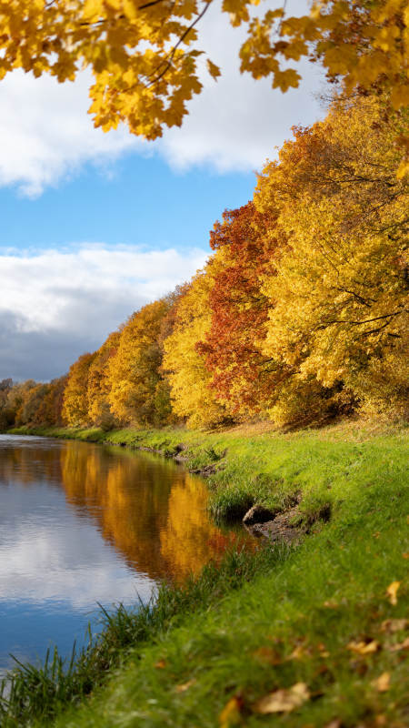 秋色映河岸图片