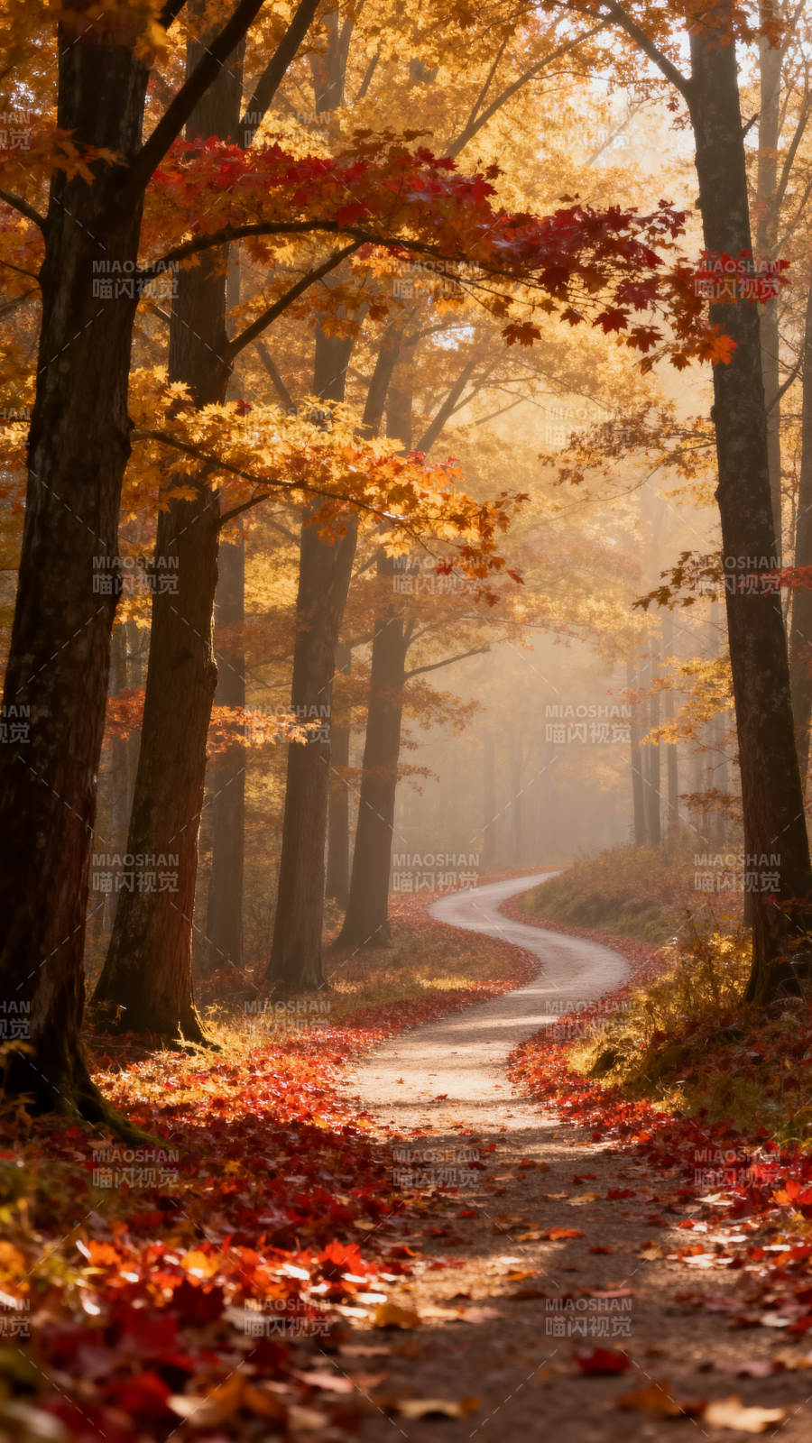 秋林小径图片