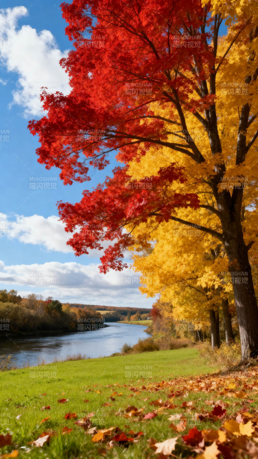秋色斑斓河畔景图片