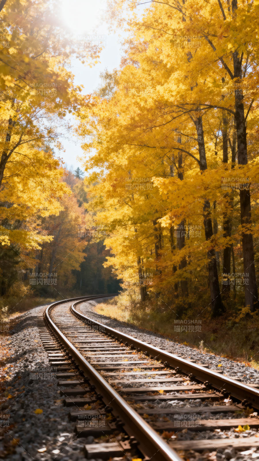 秋林铁轨图片