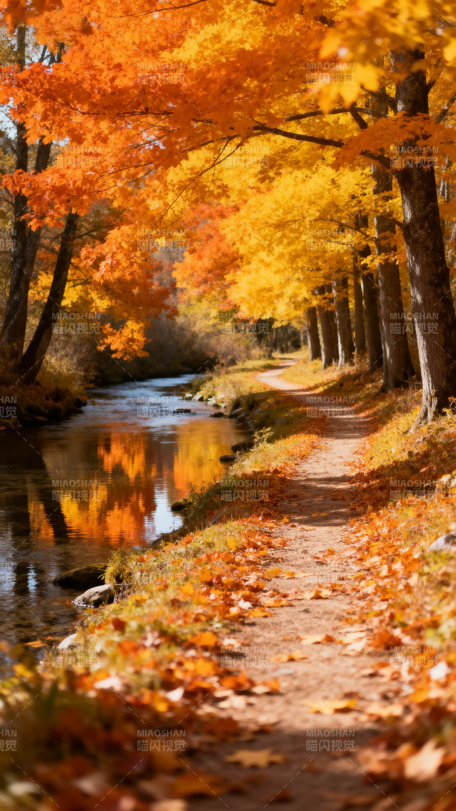 秋林小径图片
