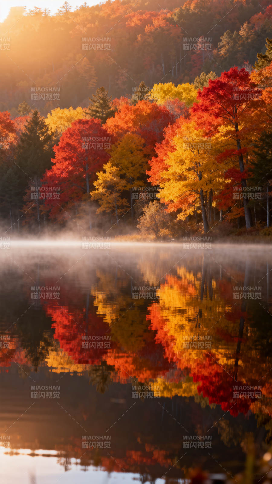 秋湖晨雾映彩林图片