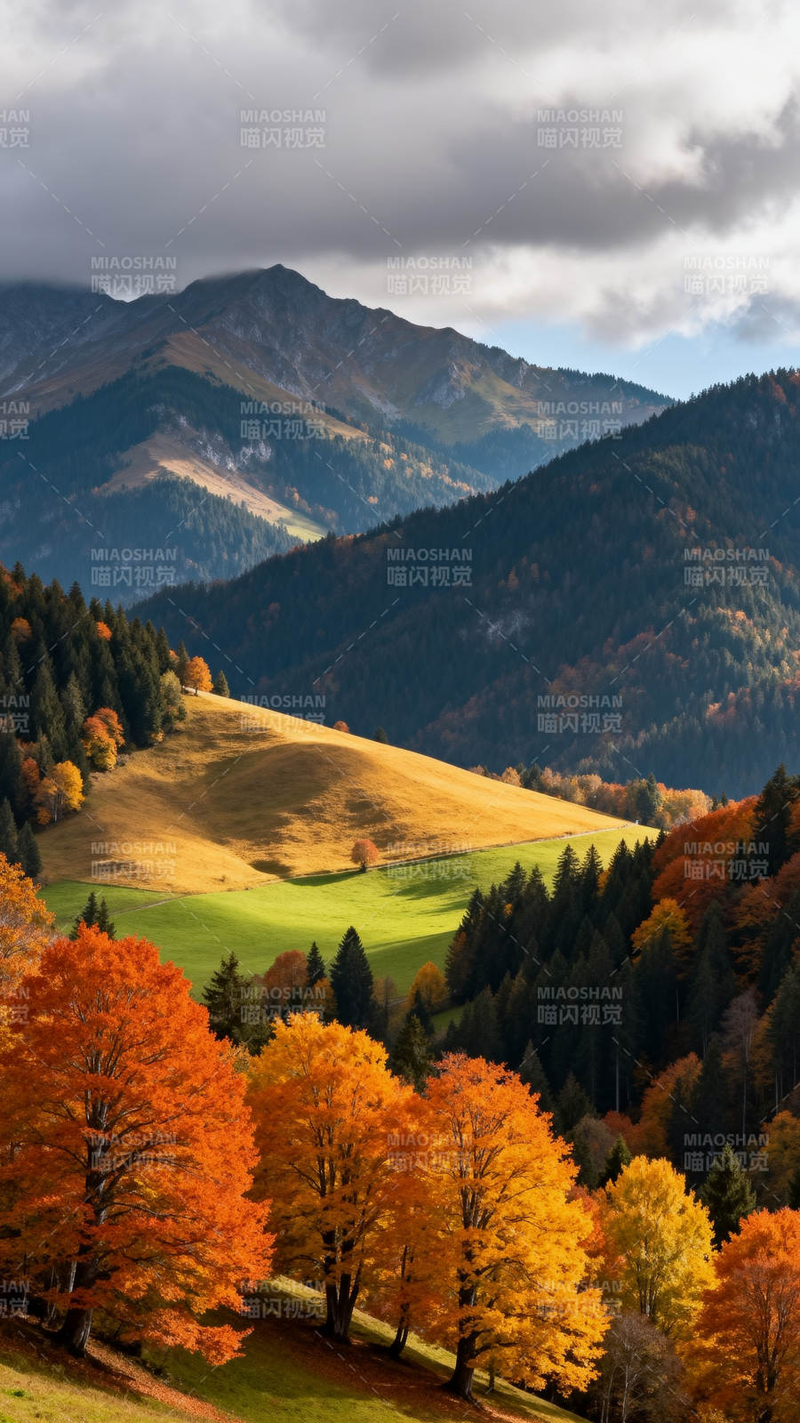 秋山彩林图片